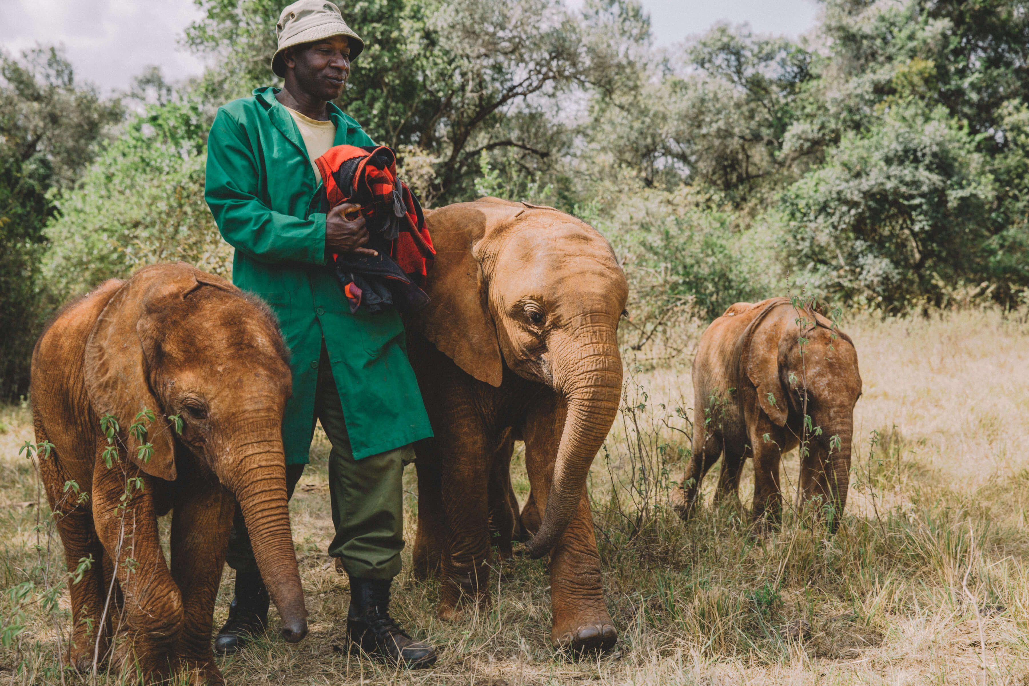 Nairobi National Park and David Sheldrick Wildlife Trust : places of kenya