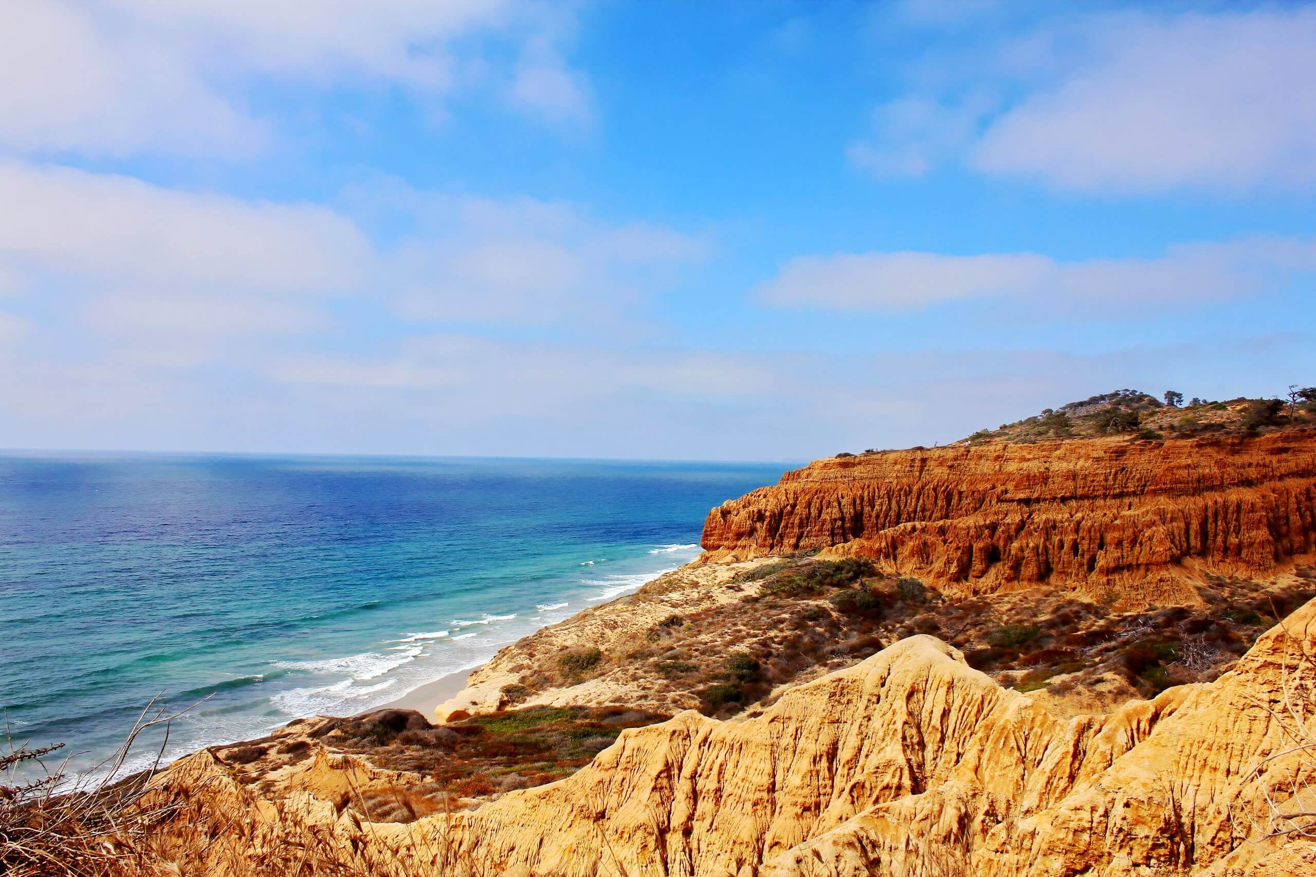 Torrey Pines State Reserve, San Diego: california beaches