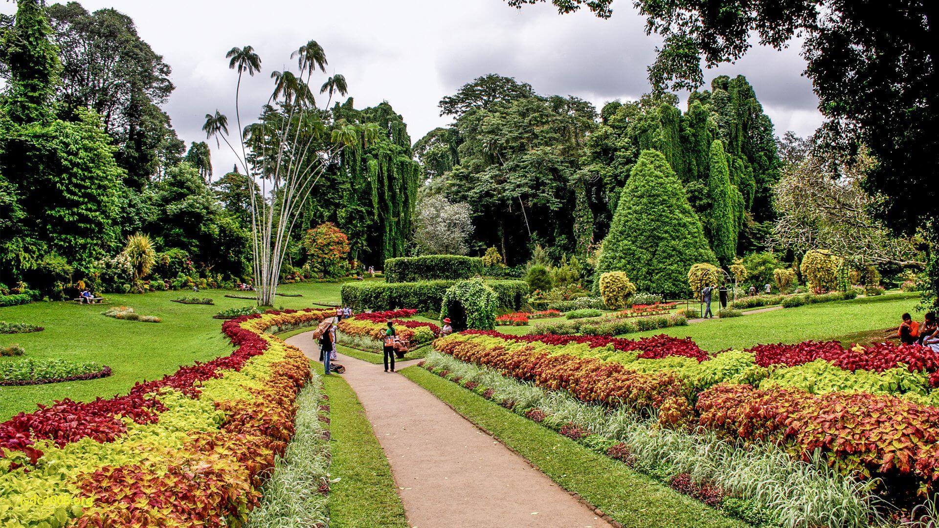 Things to do in Saint Lucia: The Botanical Garden