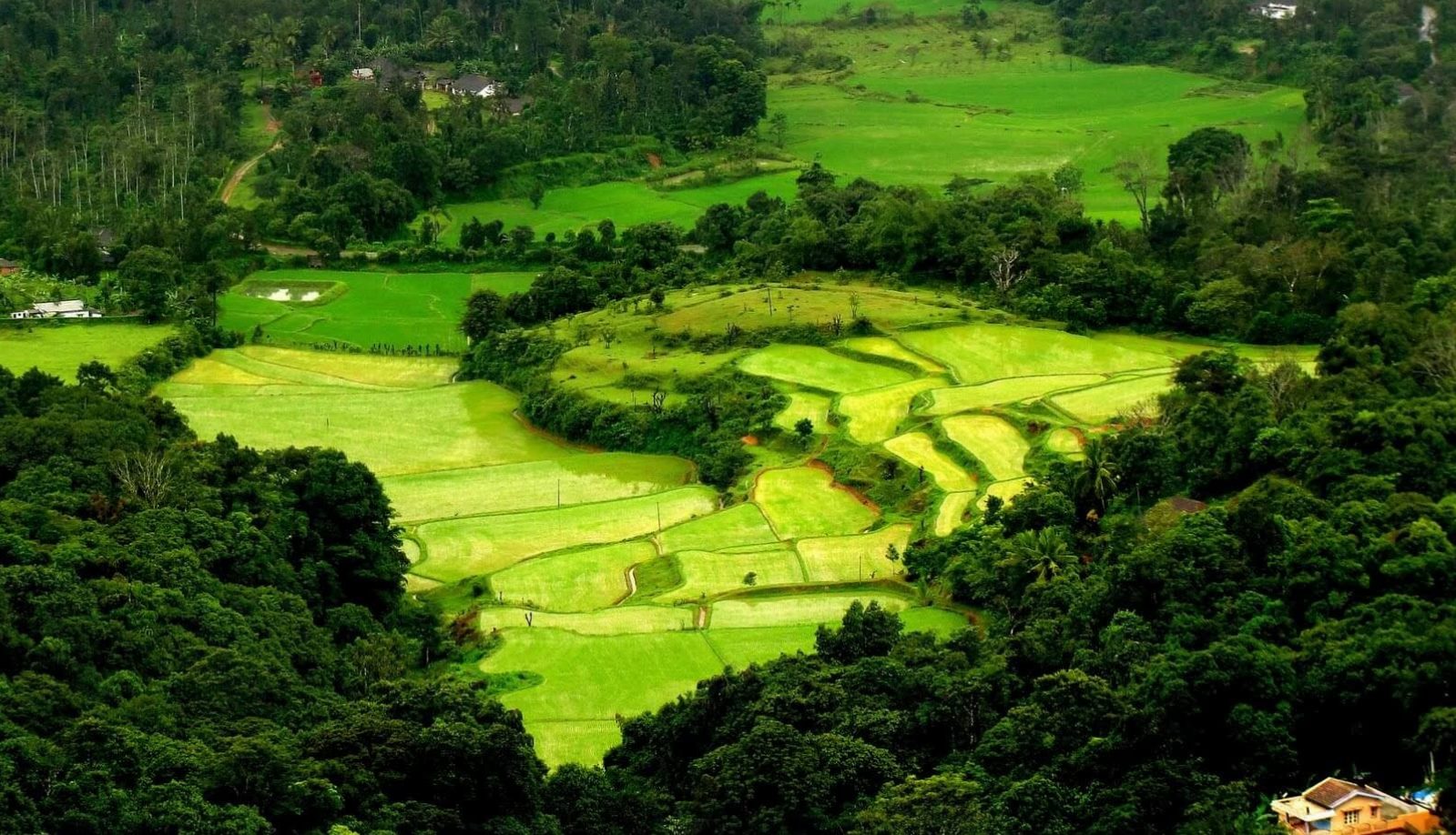 Places to visit in March in India: Coorg