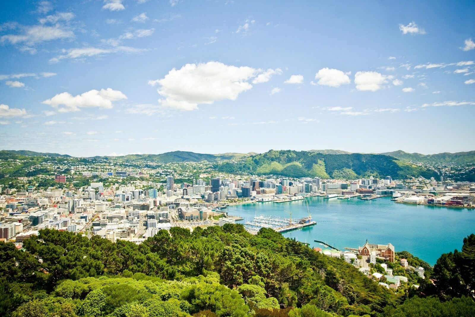 things to do in Wellington: Mount Victoria