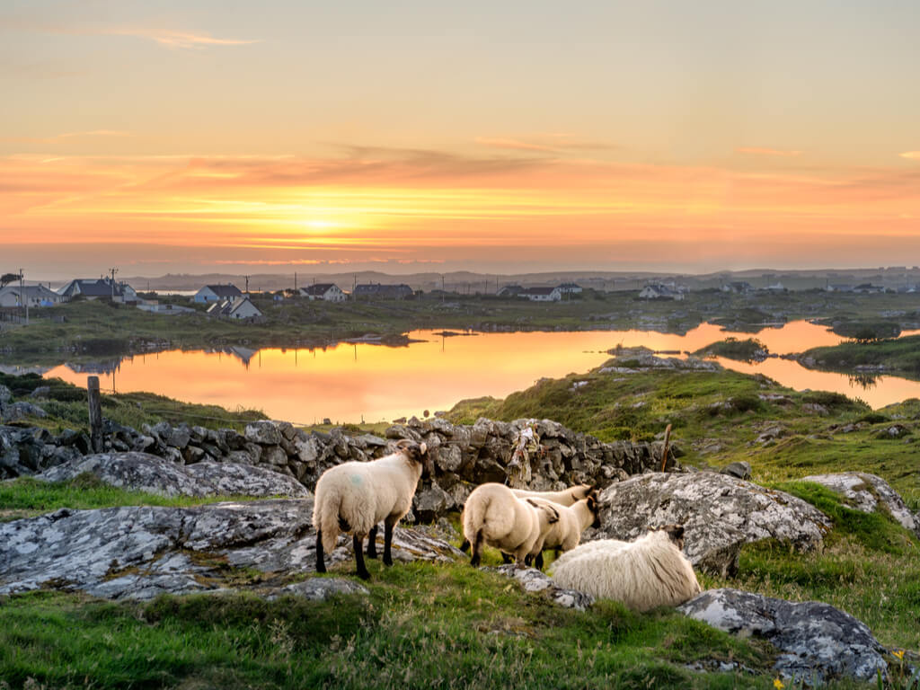 Most Beautiful Places In Ireland: Galway