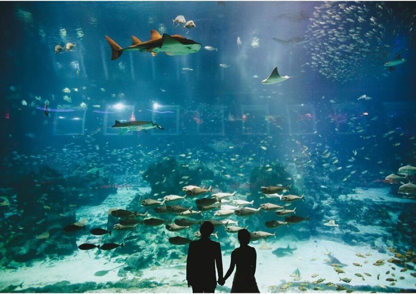 Things To Do In Singapore For Couples