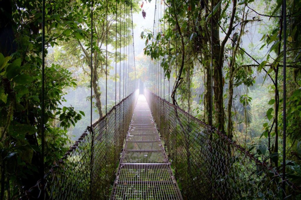 Best Hikes in Costa Rica: Arenal Hanging Bridges