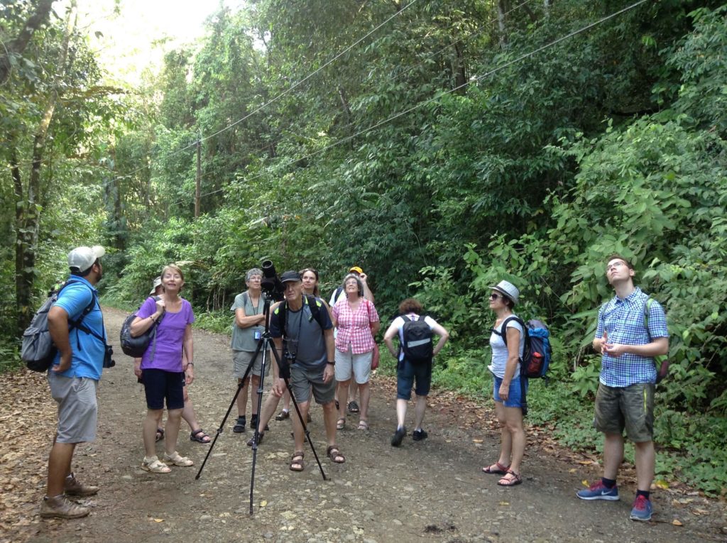 Best Hikes in Costa Rica: Manuel Antonio National Park