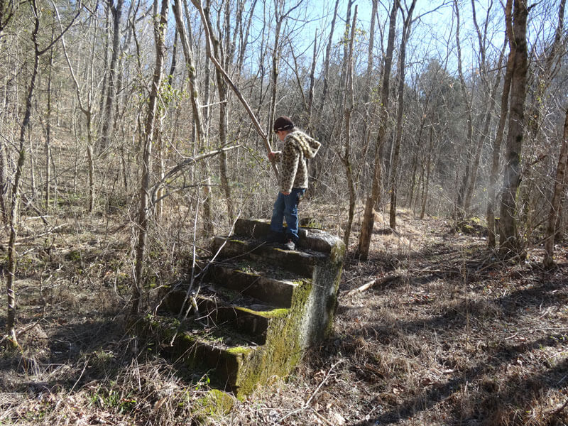 staircases in the wood