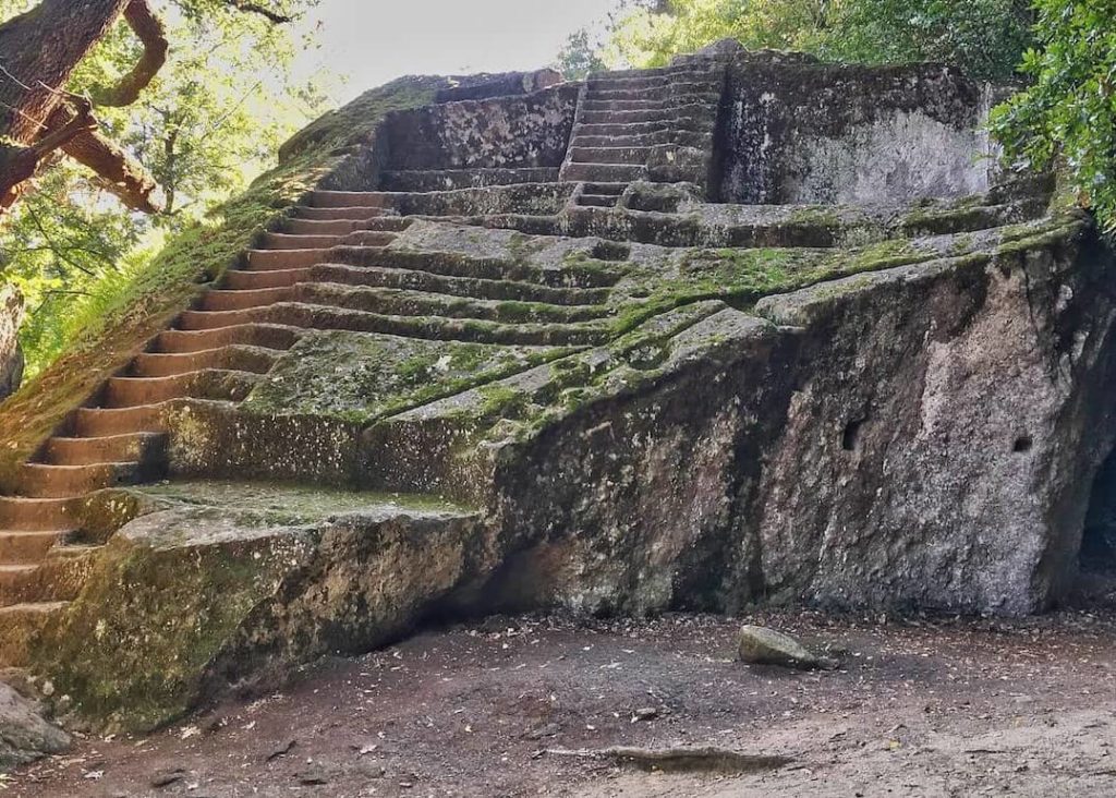 stairs in the woods