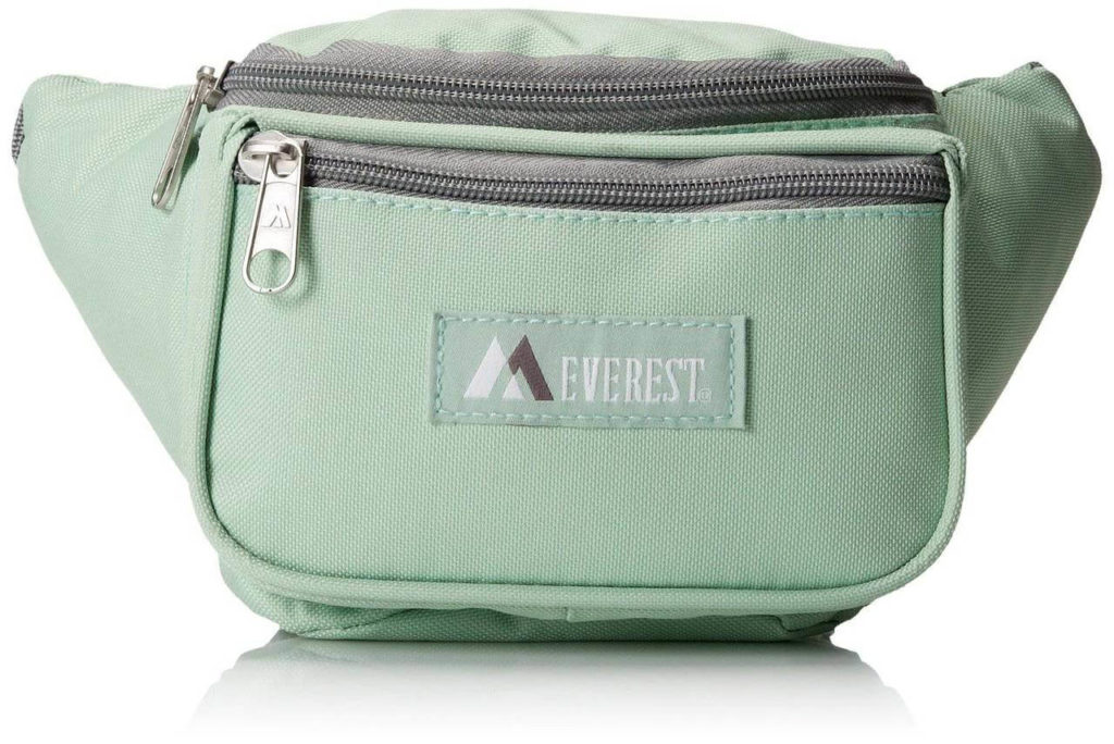 best travel purse for international travel