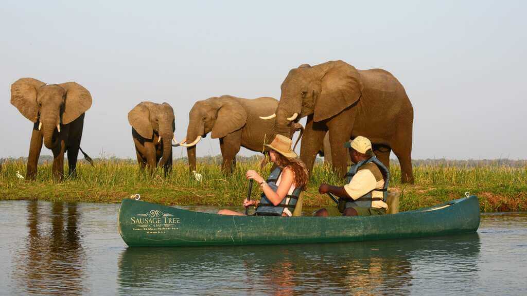 Paddle the Zambezi 