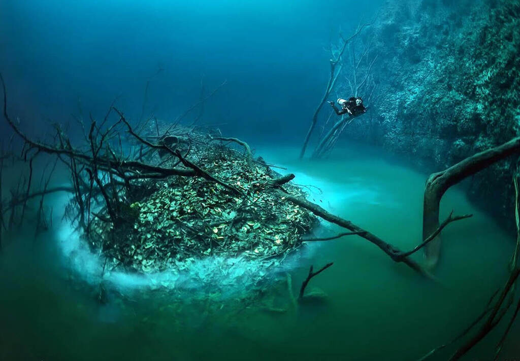 Cenote Angelita, Mexico
