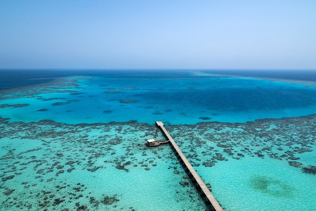Red Sea Reefs, Egypt and Sudan
