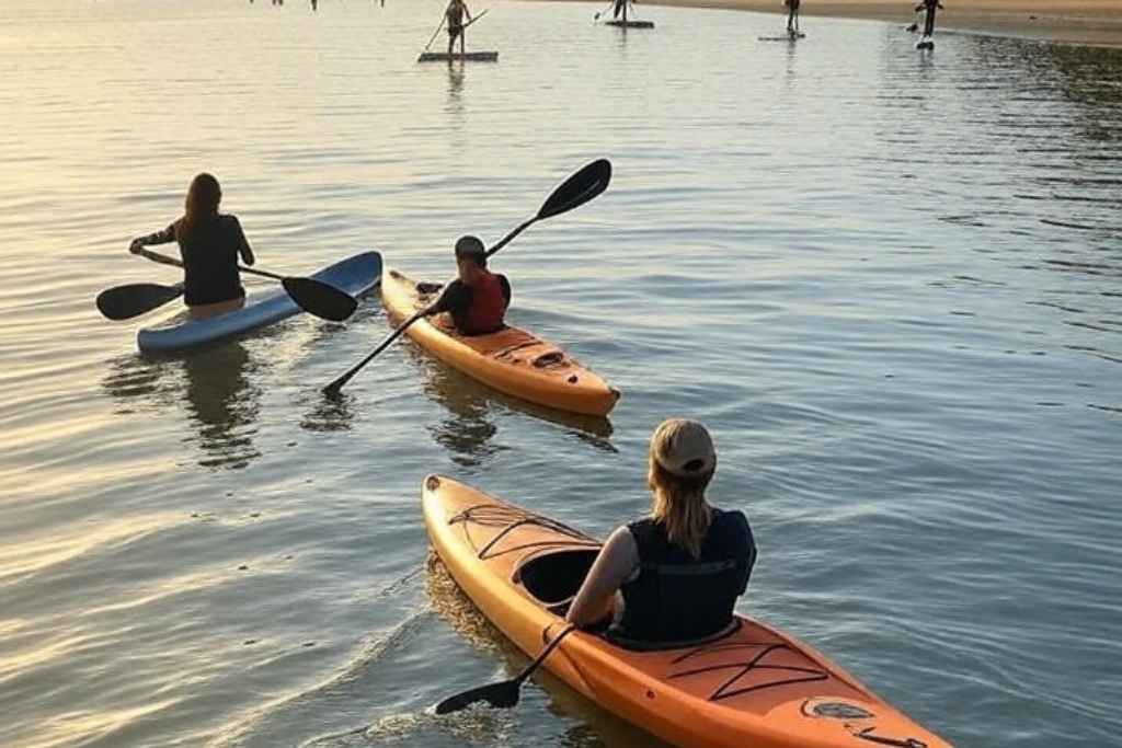 Charleston Kayaking and Paddleboarding
