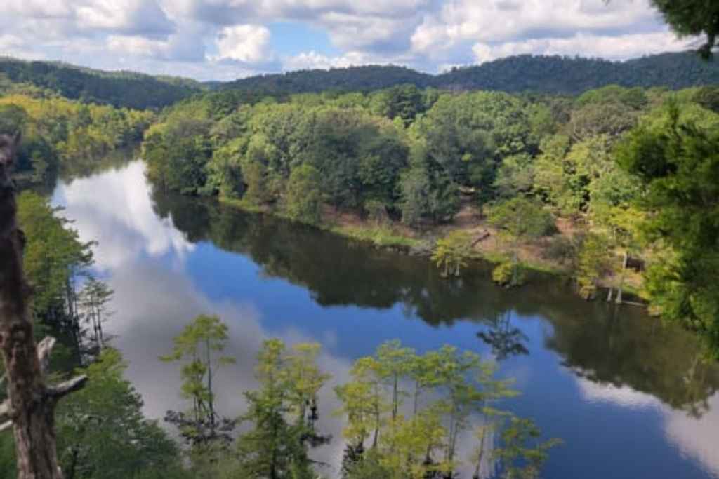 Hiking in Ouachita National Forest