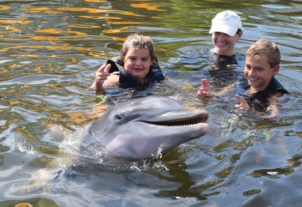 Island Dolphin Care