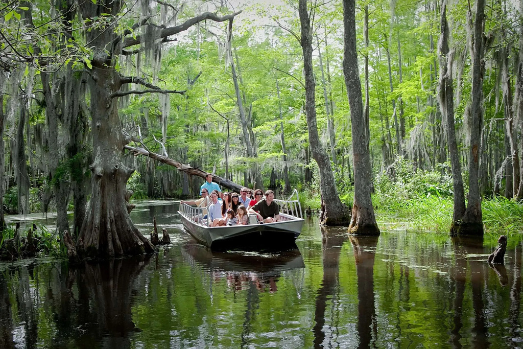 Honey Island Swamp Tour