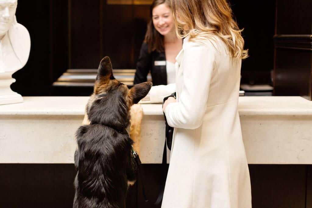 Best Western: Dog: Best Pets friendly hotels in US