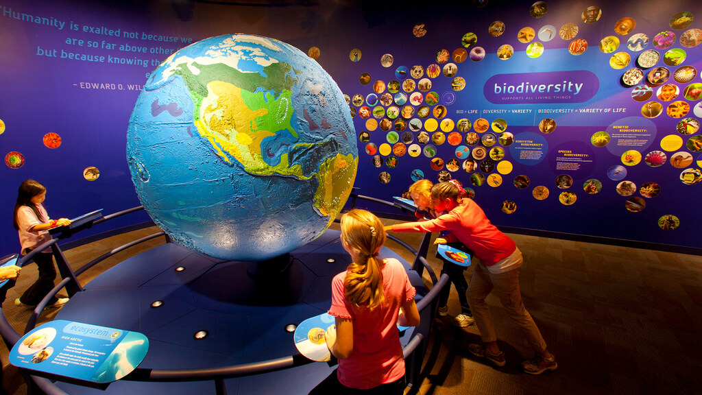 things to do in charlotte NC: Discovery Place