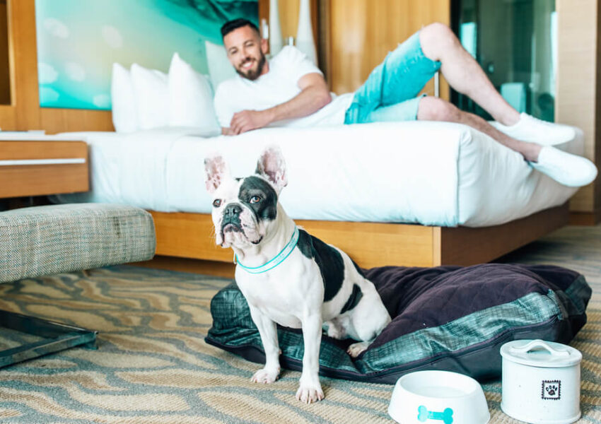 Pets friendly hotels in US