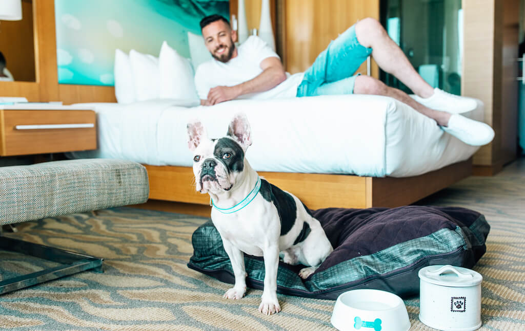 Pets friendly hotels in US