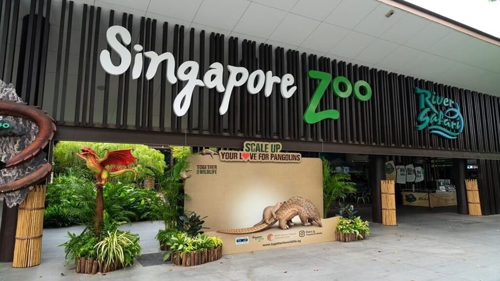 Singapore Zoo: Singapore city tour