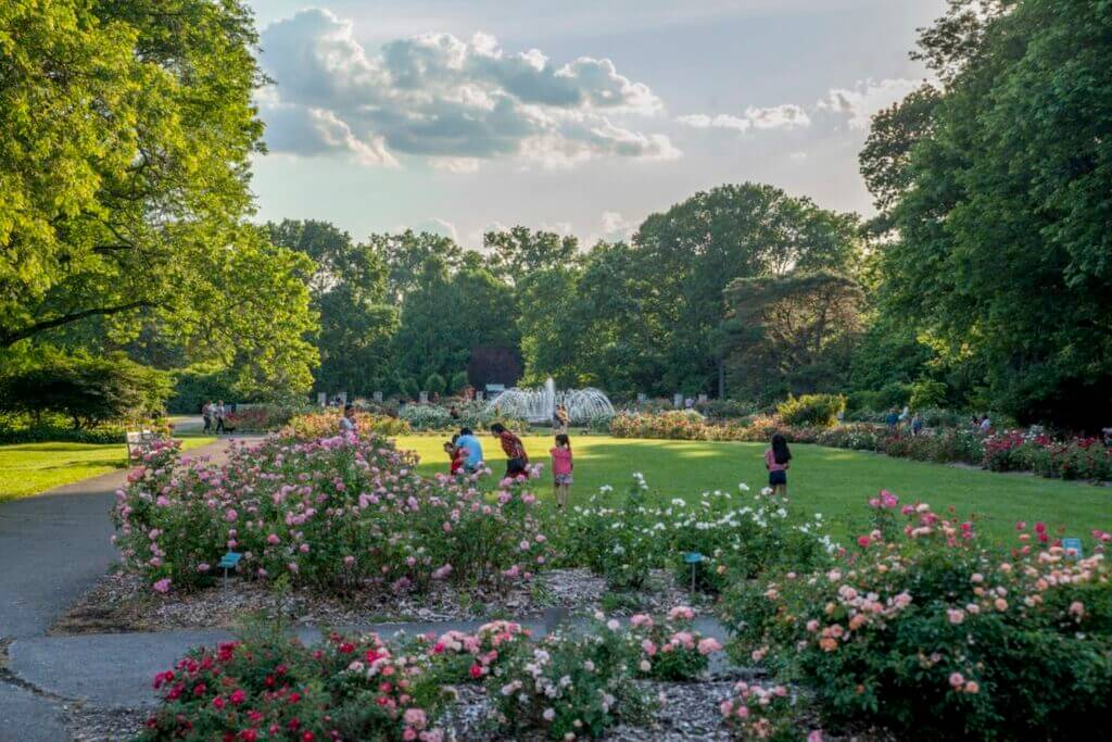 Park of Roses: Things to do in Columbus