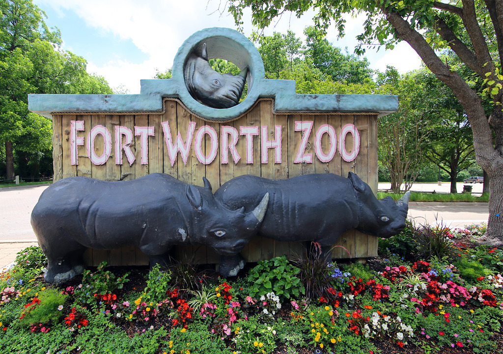 Things to do in Fort Worth Texas: Fort Worth Zoo