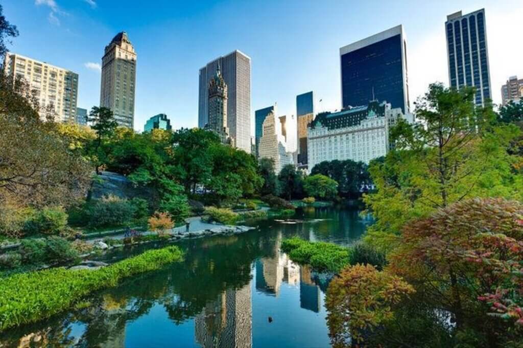 Things to do in New York in November 2022: Central Park