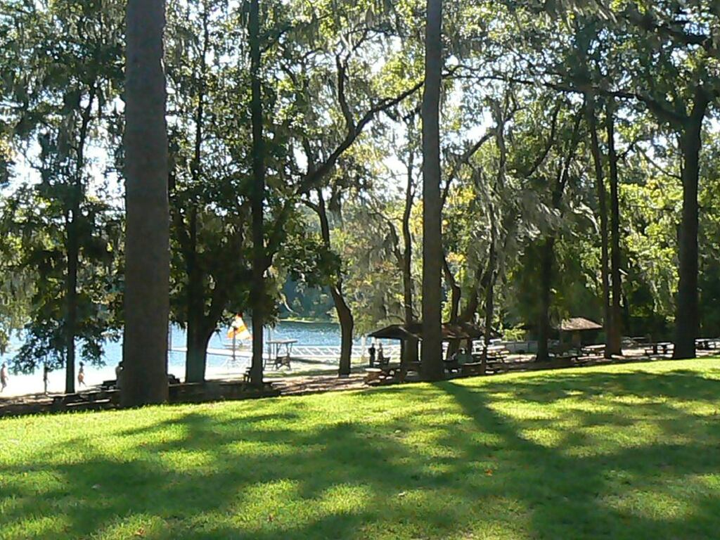 Things to do in Tallahassee FL : State Park Alfred B. Maclay Gardens