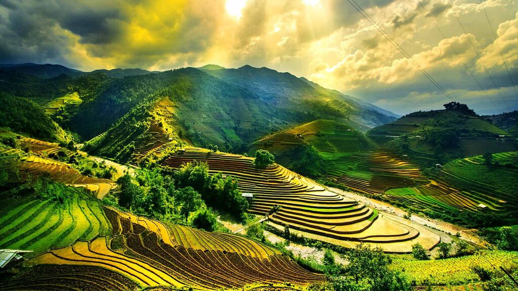 Vietnam Travel