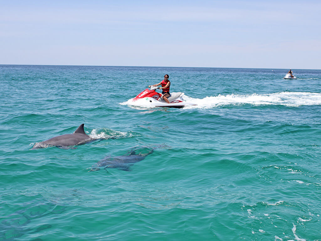 attractions in destin florida: Waverunner Dolphin Tour