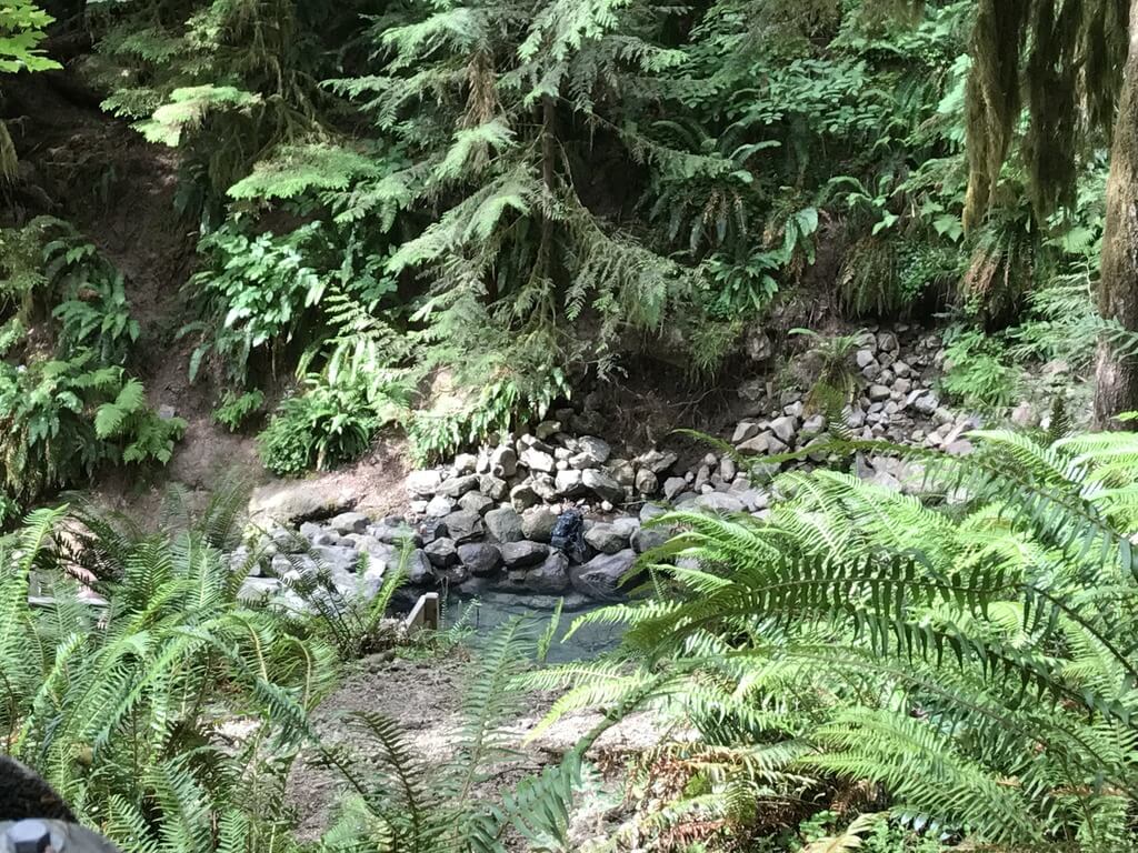 Terwilliger Hot Springs: best hot springs in Oregon