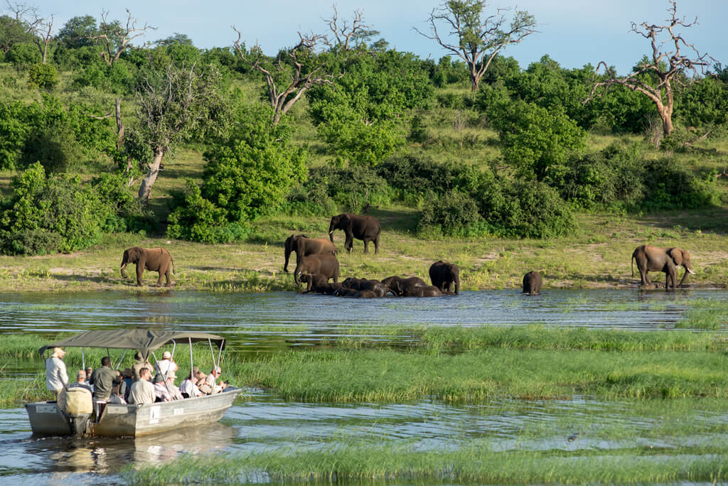 Chobe National Park: best safari in Africa