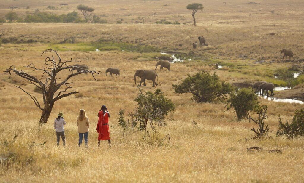 A Walking Safari: best safari in Africa