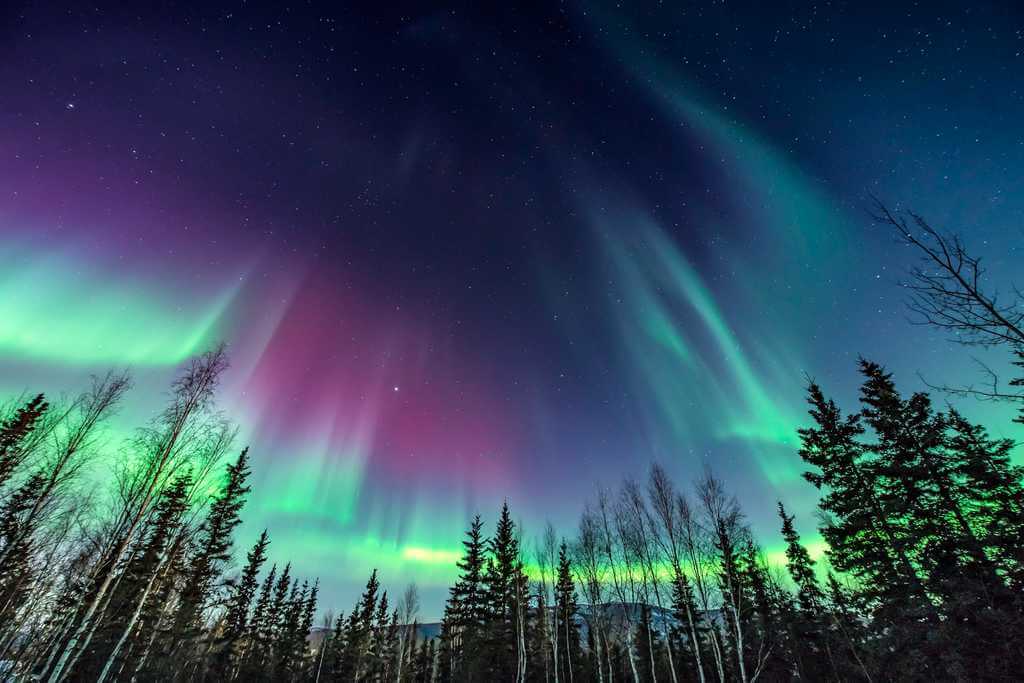 best time to see the northern lights in alaska