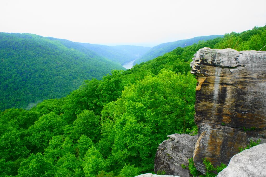 Coopers Rock State Forest, West Virginia: camping sites