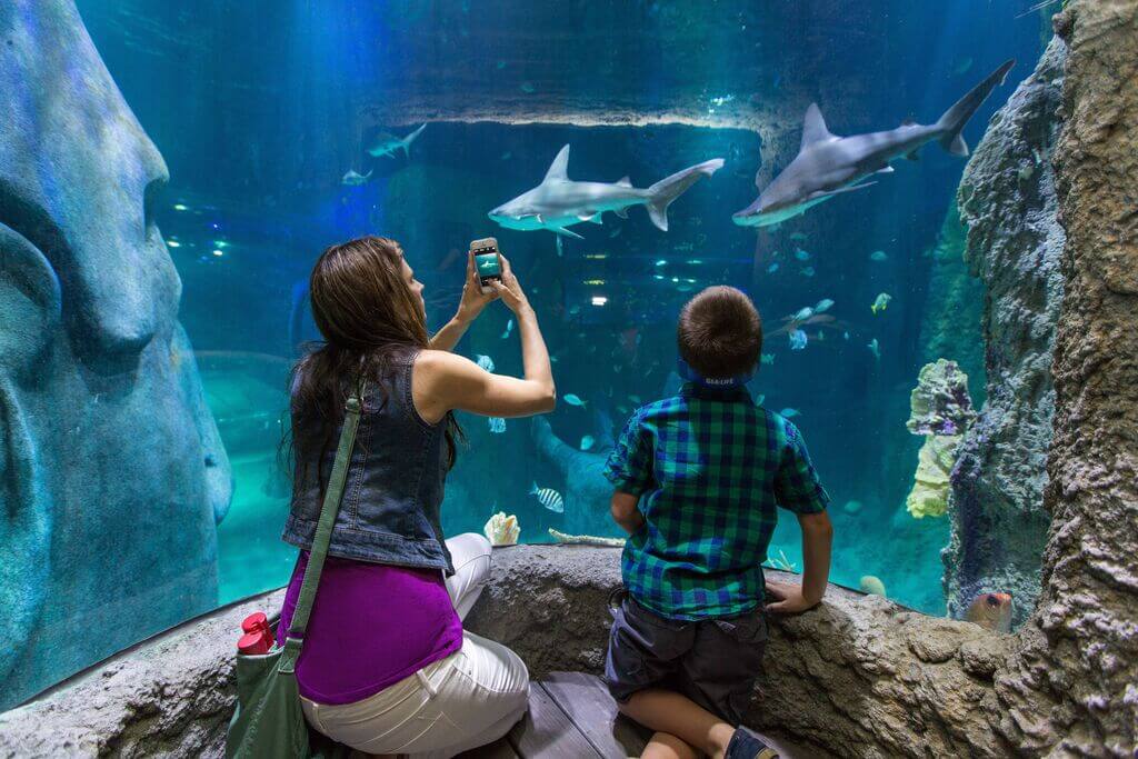fun things to do in tampa:Florida Aquarium
