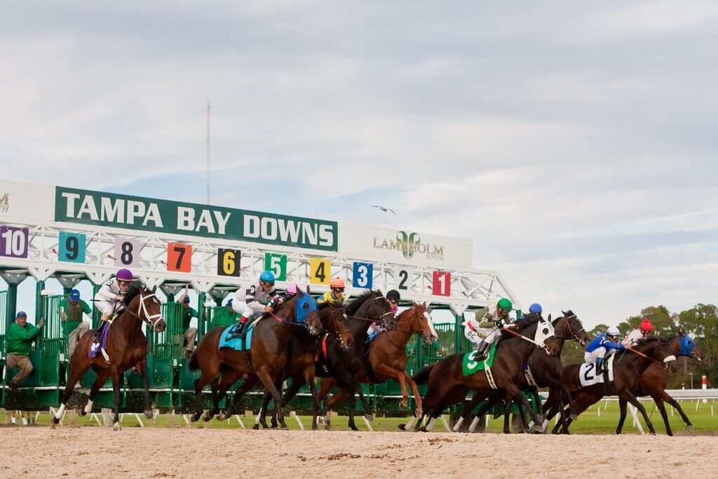 fun things to do in tampa: Tampa Bay Downs