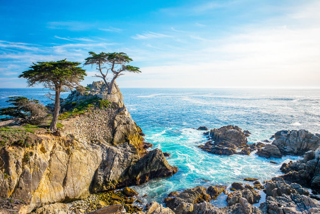 monterey things to do: 17- Mile Drive