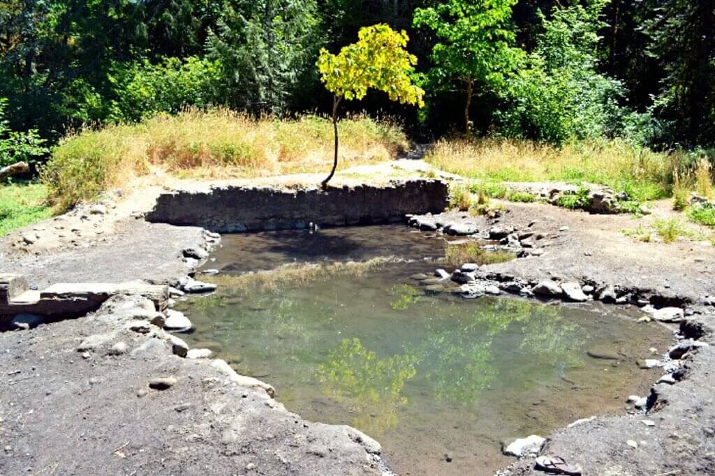 McCredie Hot Springs: oregon hot spring