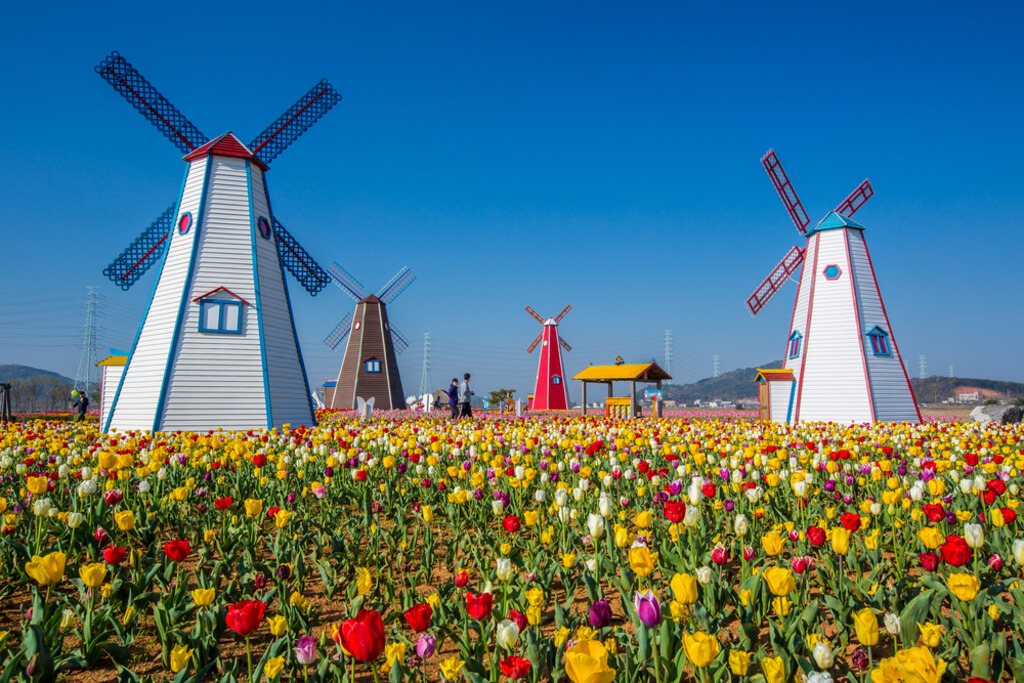 Holland: places to visit in michigan