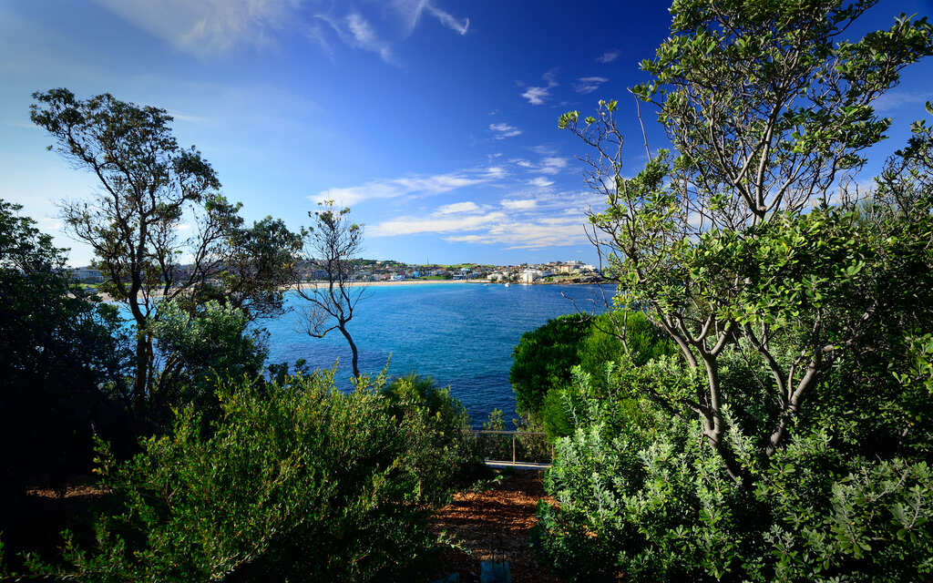 Places to Visit in Sydney: Nature