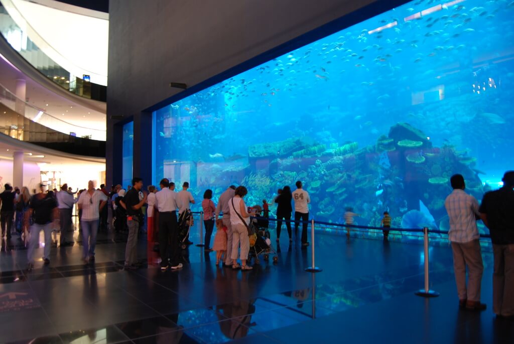 Dubai Mall Aquarium: things to do at dubai