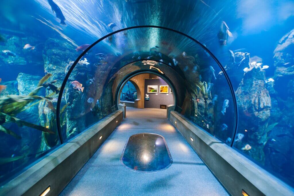 Aquarium of Boise: things to do in boise