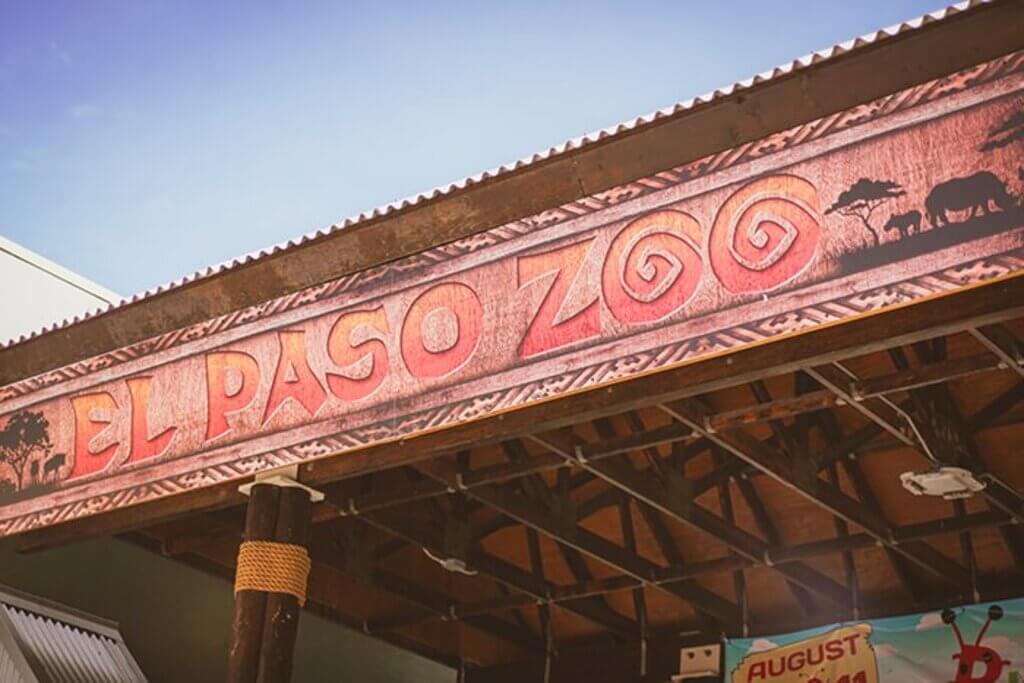 El Paso Zoo: things to do in el paso texas