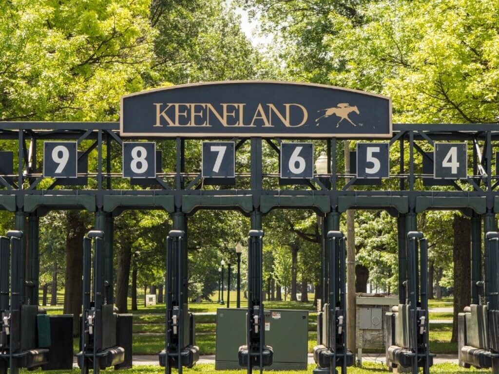 Keeneland: things to do in lexington KY