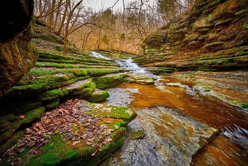 Raven Run Nature Sanctuary: things to do in lexington KY