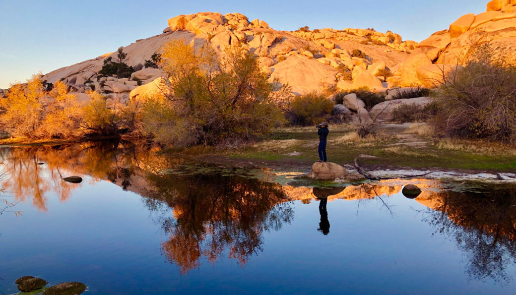 Joshua National Park