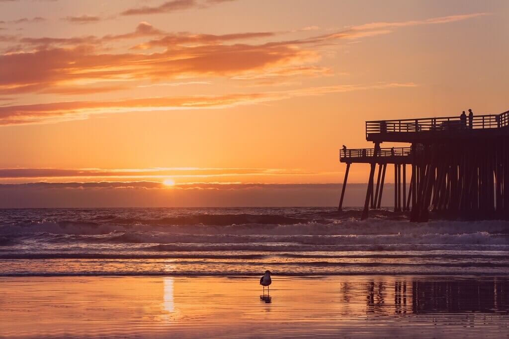 Pismo Pier: things to do in pismo
