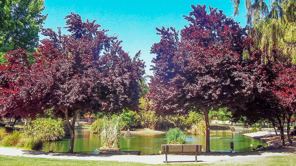 things to do in sacramento ca: Mckinley Park