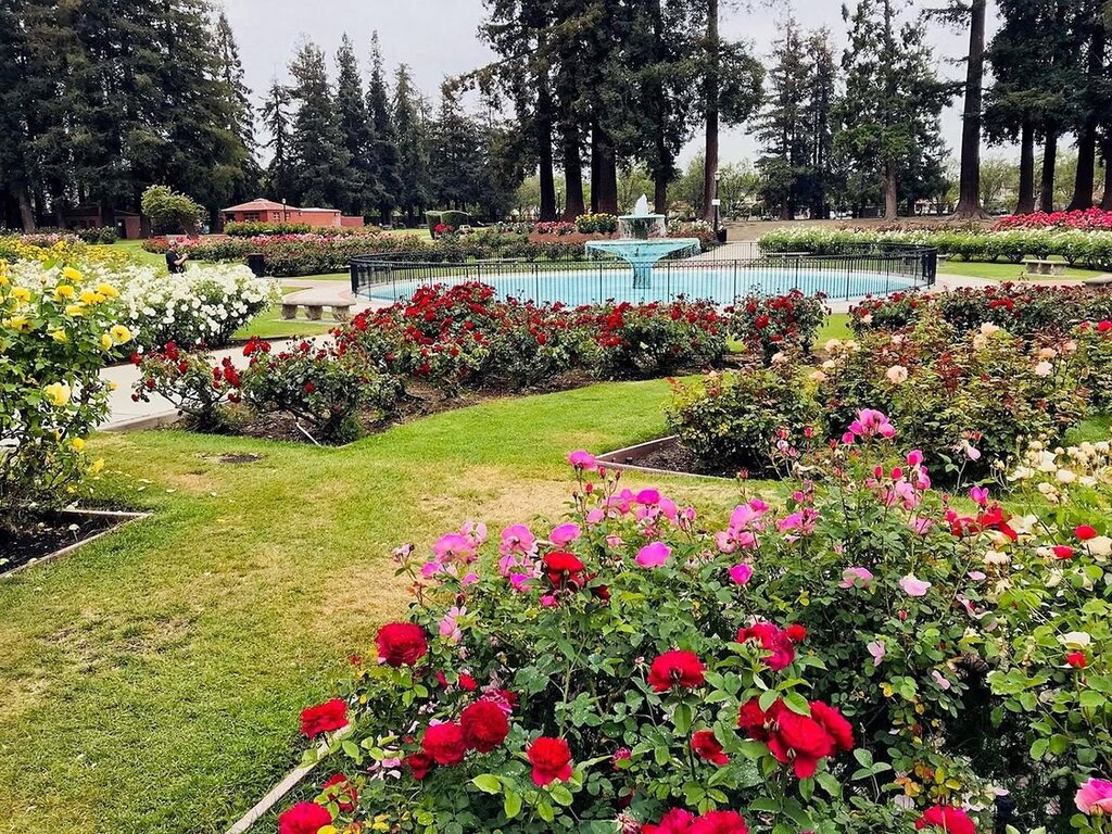 things to do in san jose CA: Municipal Rose Garden